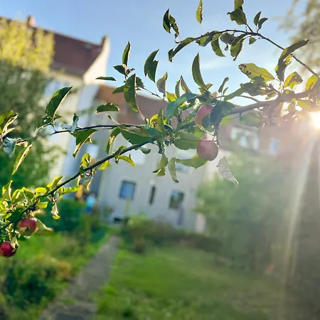 Immostay #8 - Haus Fuer 13 Personen Mit 7 - Grosser Garten & Grill, Free Parking, Wlan